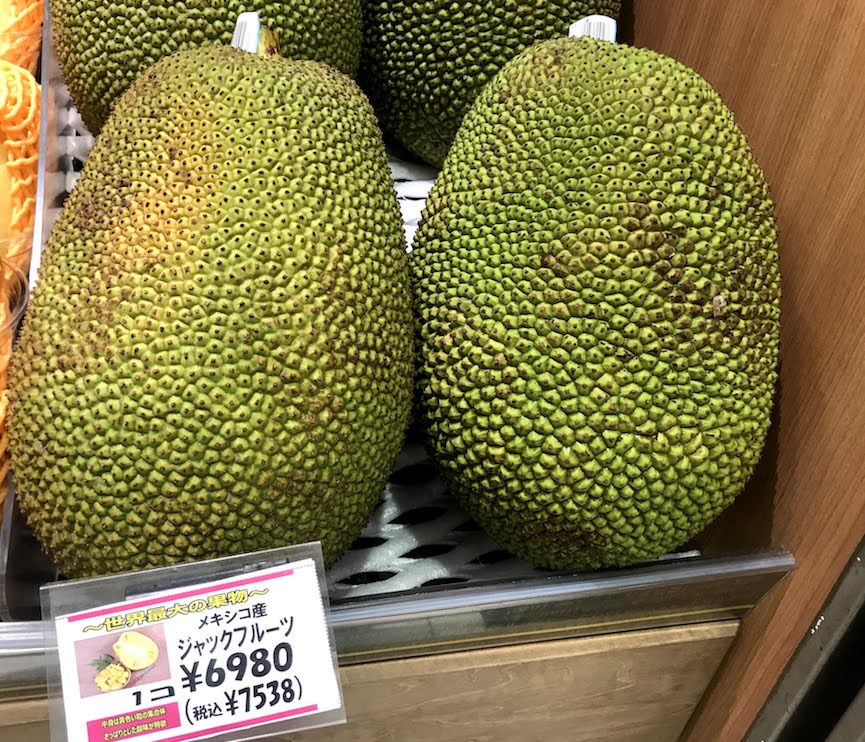 石垣島産 パラミツ ジャックフルーツ 5kg - 果物